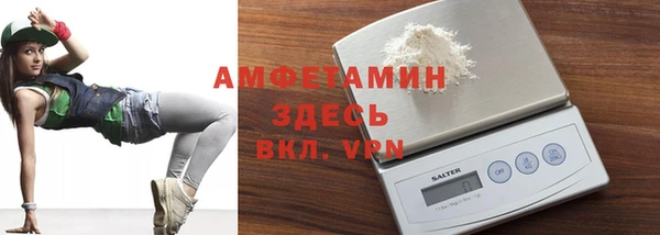 молекула духа Вяземский