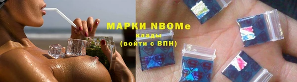 молекула духа Вяземский