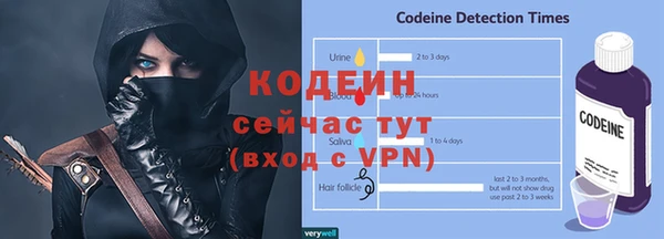 молекула духа Вяземский