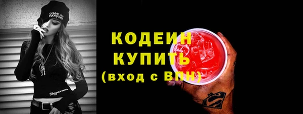 молекула духа Вяземский