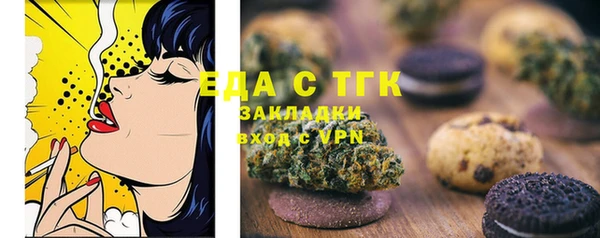 молекула духа Вяземский