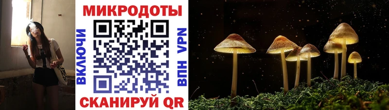 Псилоцибиновые грибы GOLDEN TEACHER  Дедовск 